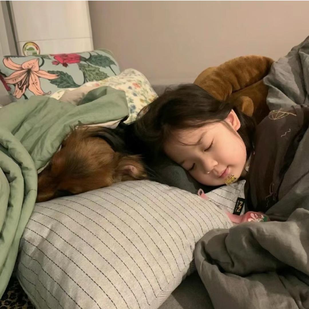 ㅤㅤㅤ毛柒岁⁷