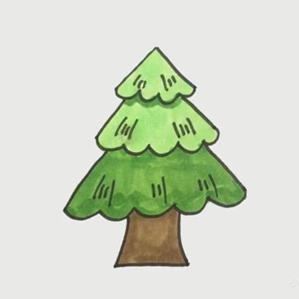 PINE🌲
