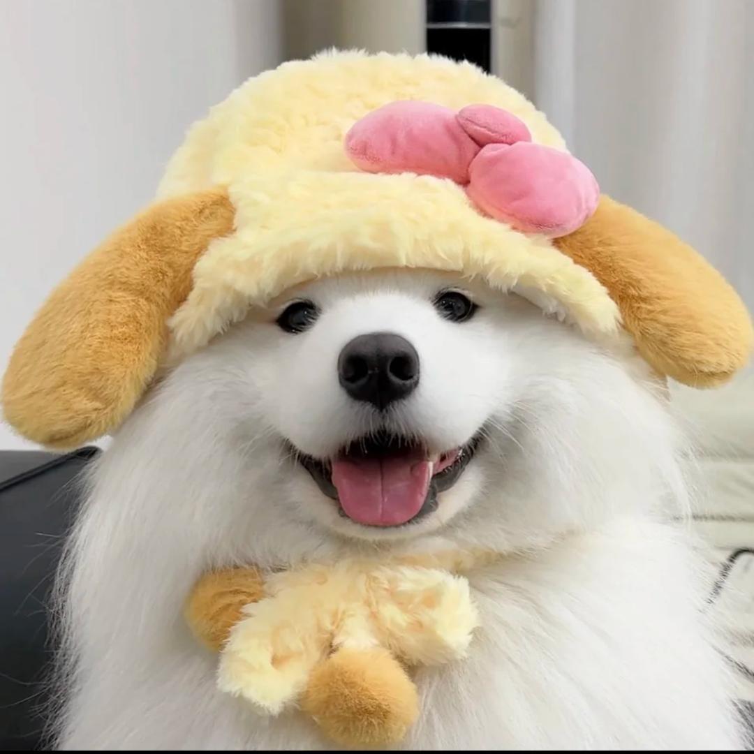 汤圆小呆饼