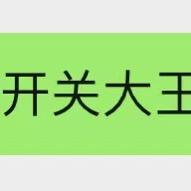 开关大王