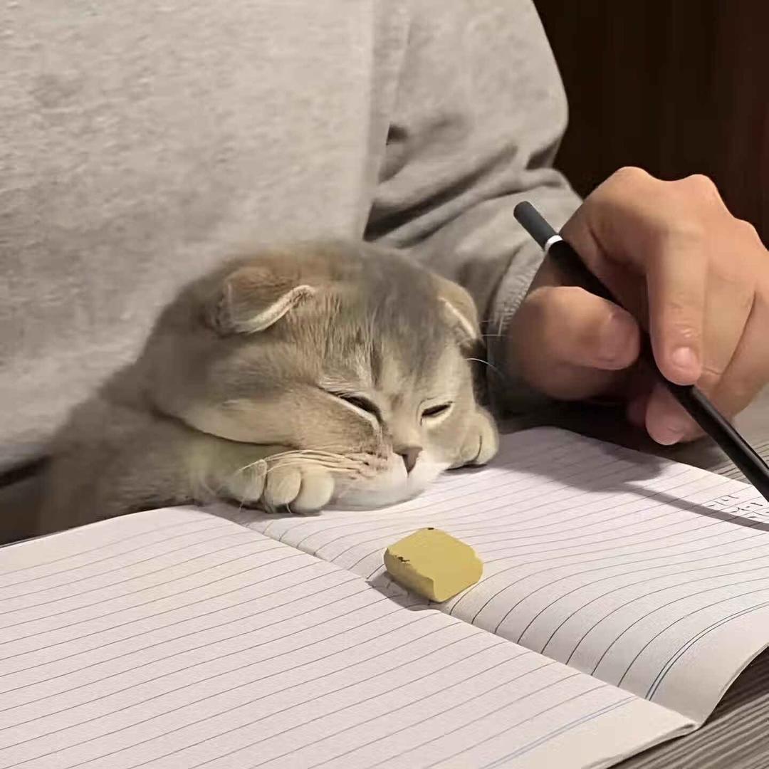 明.