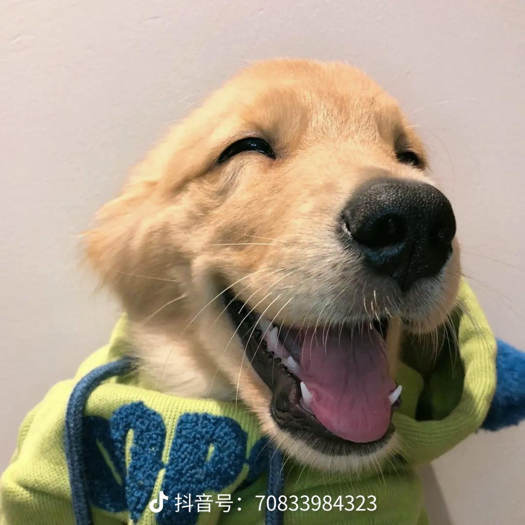 🌈南🌈