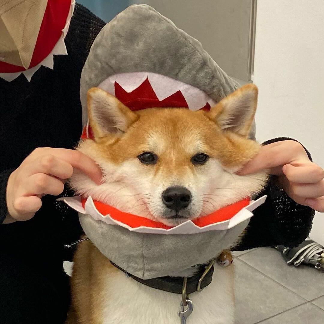 …