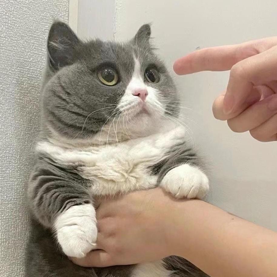 野仔