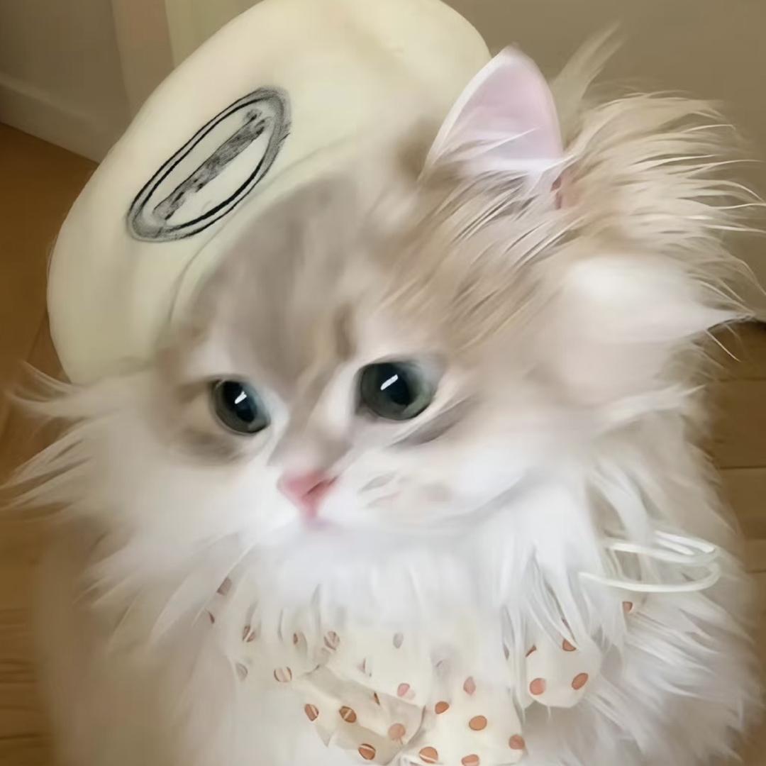 芮芮rui