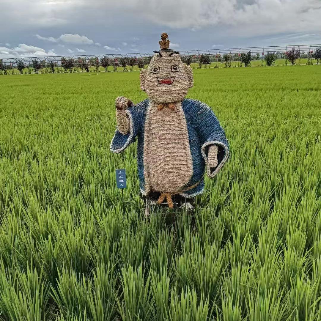 稻珍坊谷物严选店