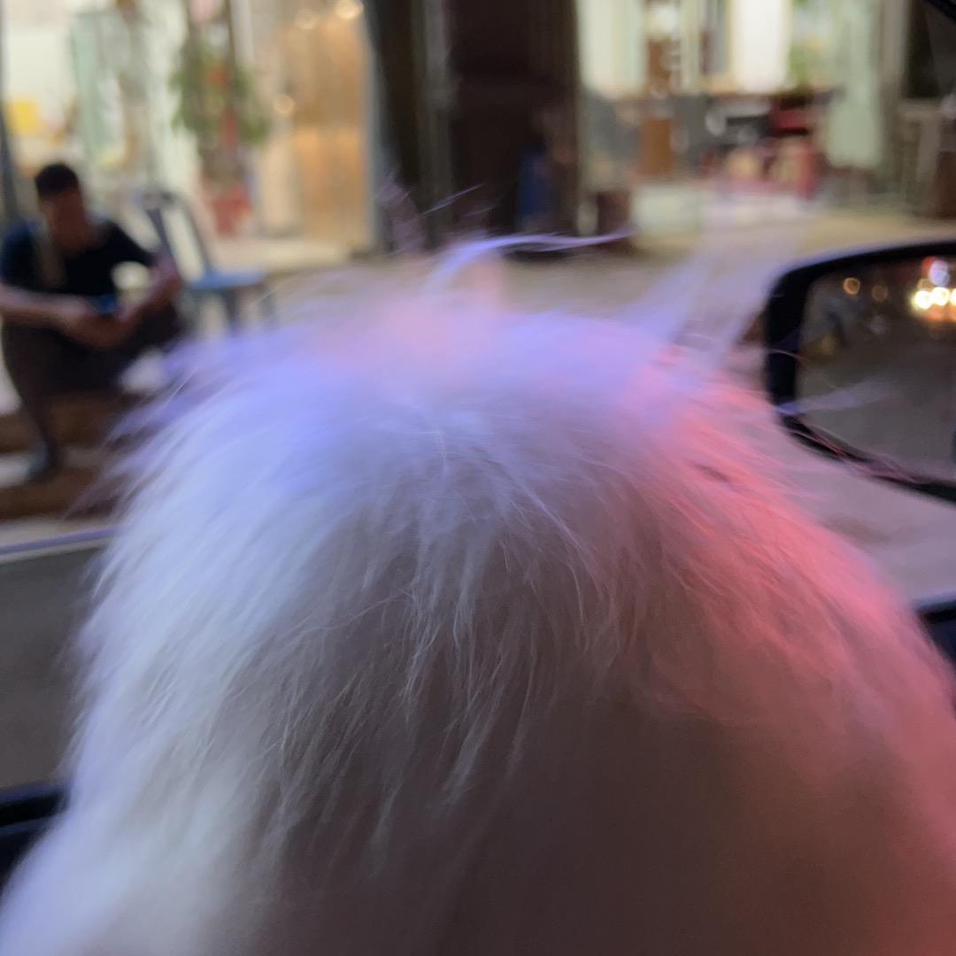 微9⃣️森