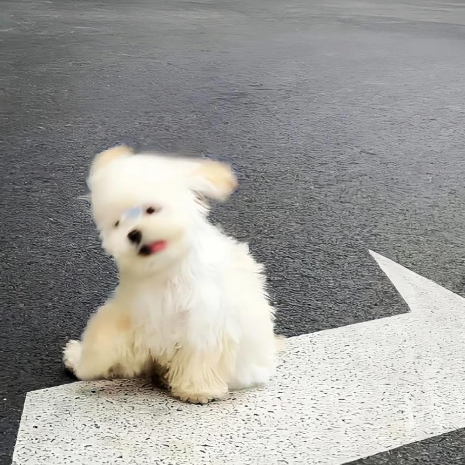 酸奶mmm.