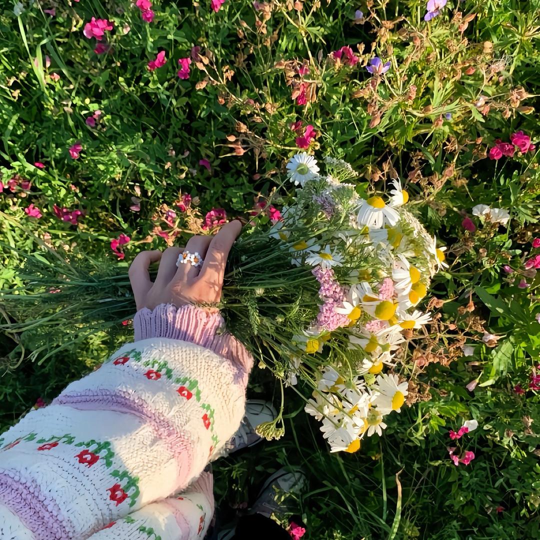 暮芸