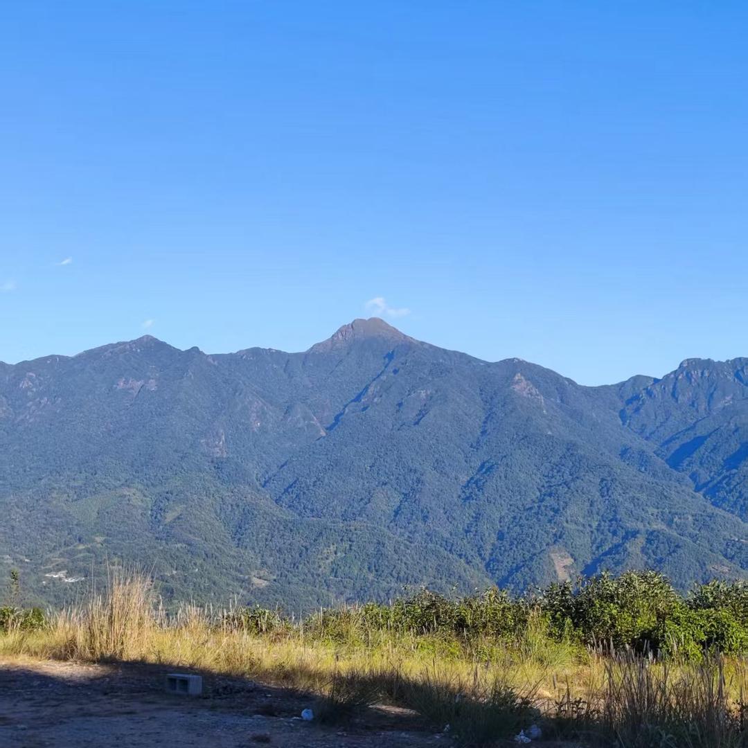 真缅山货