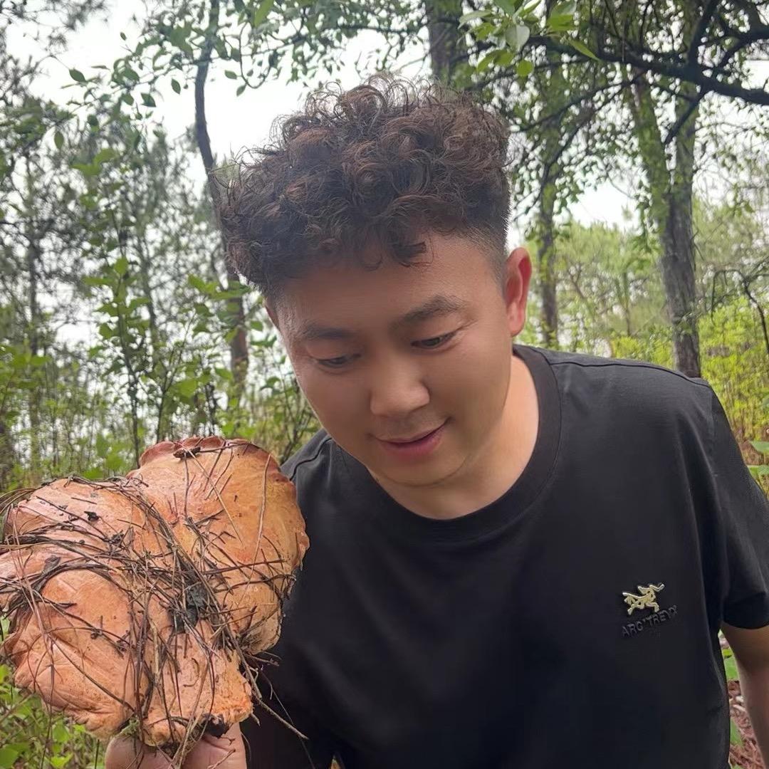 瓷砖哥——小强（格仕陶）