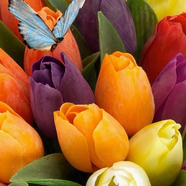 小甜蜜严选好物