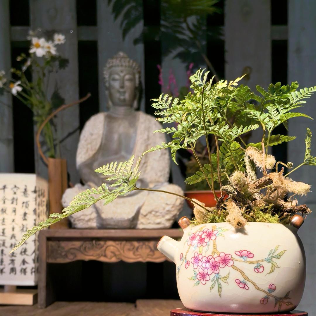 花间事盆景