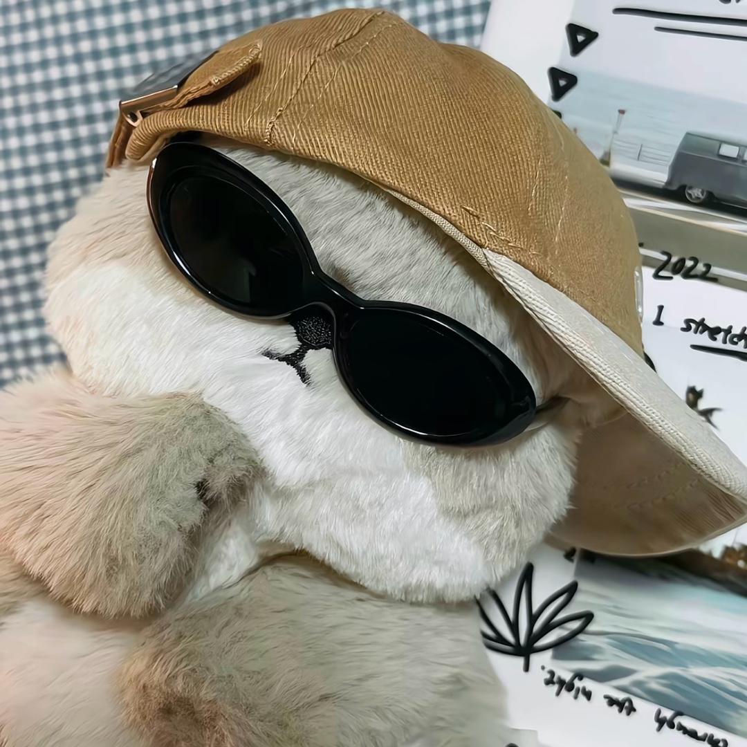 小冉很酷