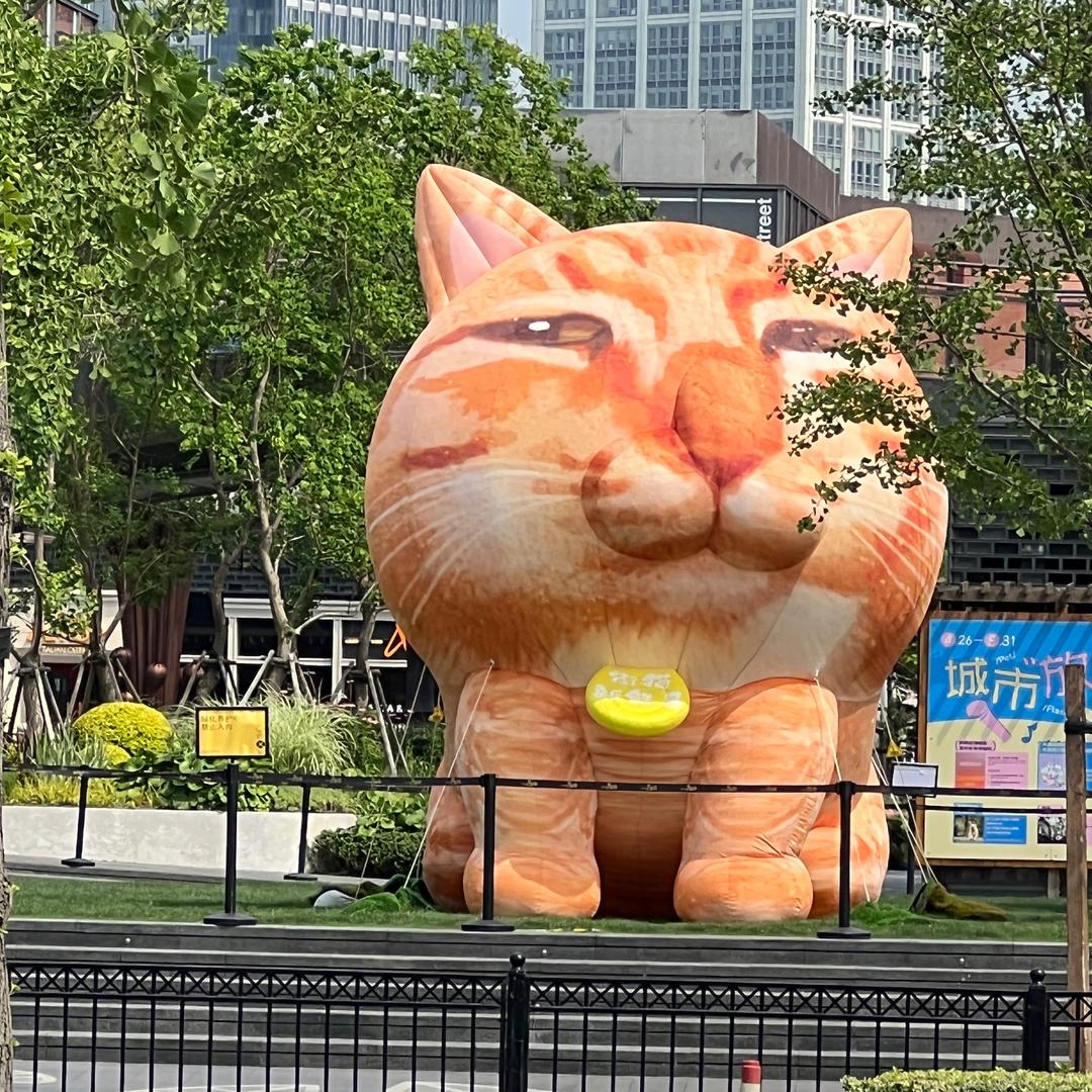 🍬糖果🍬🫵不甜