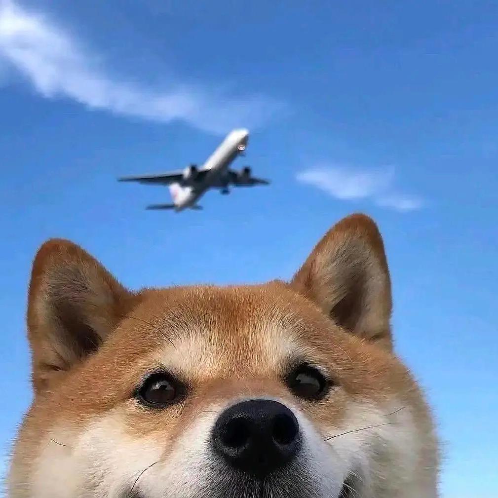 疯疯爱睡觉