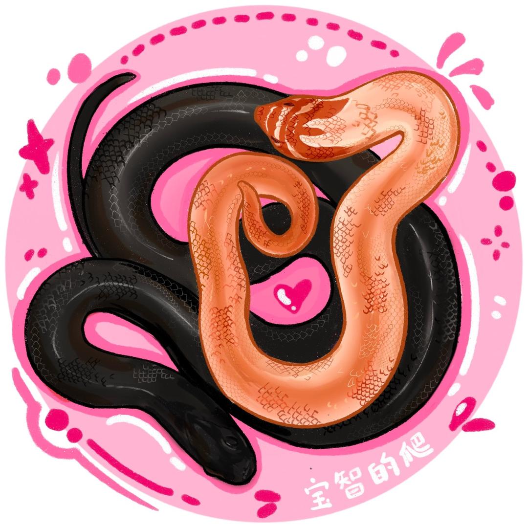 宝智的爬