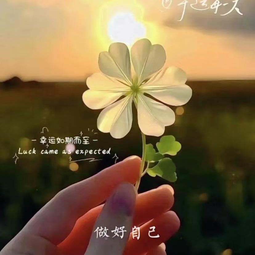 再回首