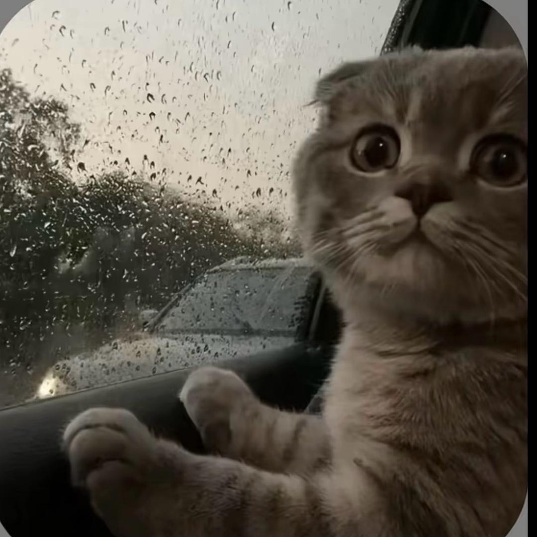 比大众还大众的男人.