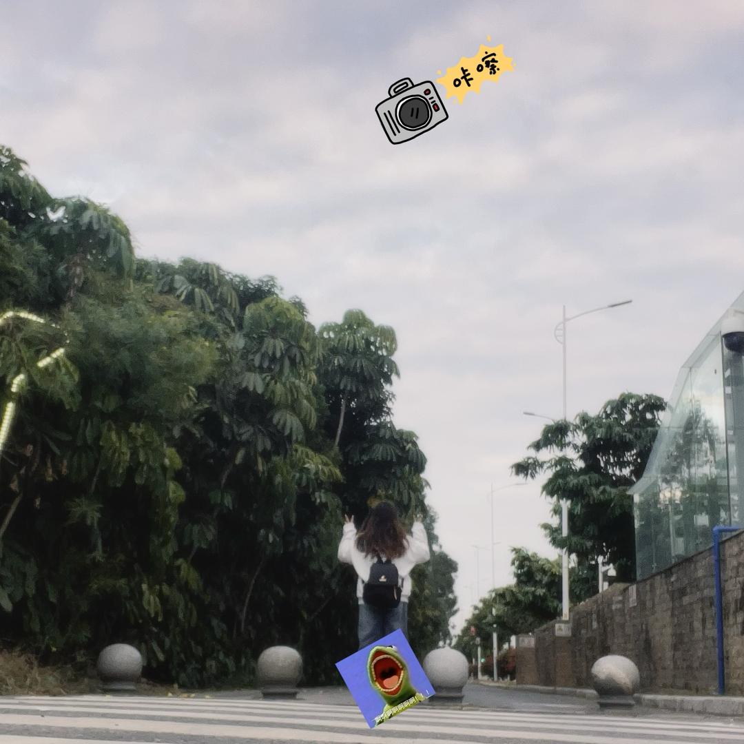 🧩JunJun🧩    🎨