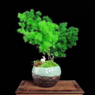 东山在起