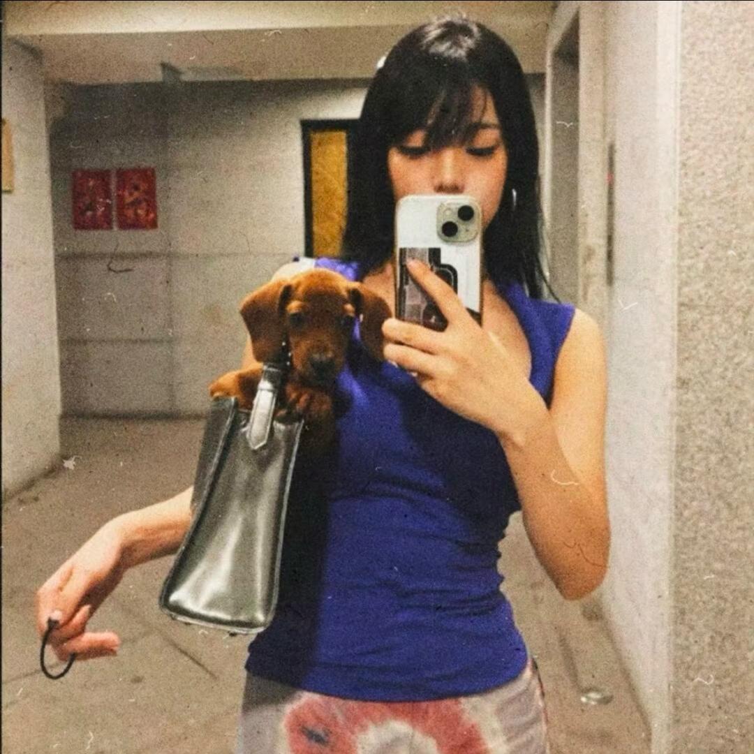 鲨鱼哥