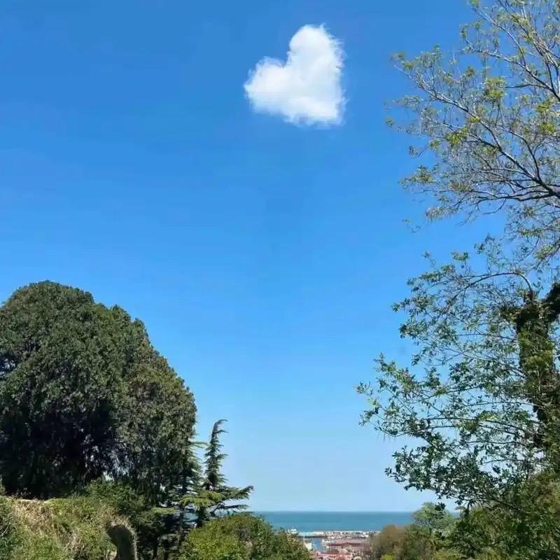 ❤️懂ᩚ你꯭ᩚꦸ悲꯭欢