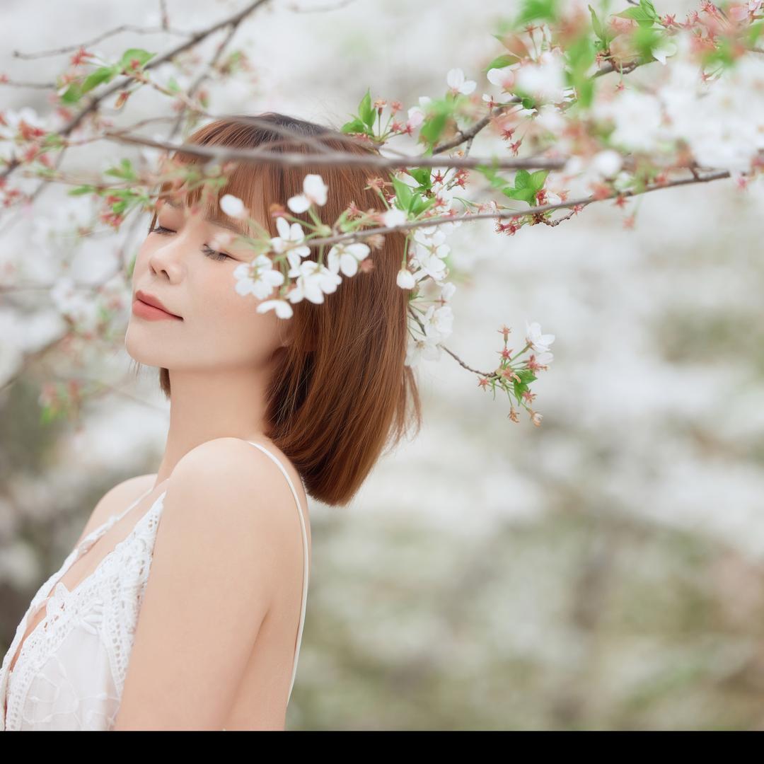 安安老师