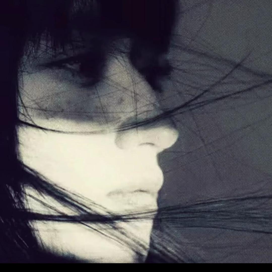 -祝wo鱼块.
