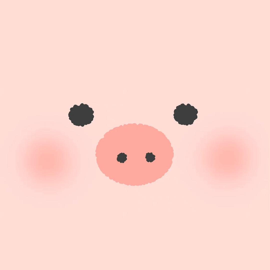 小🐑🐑