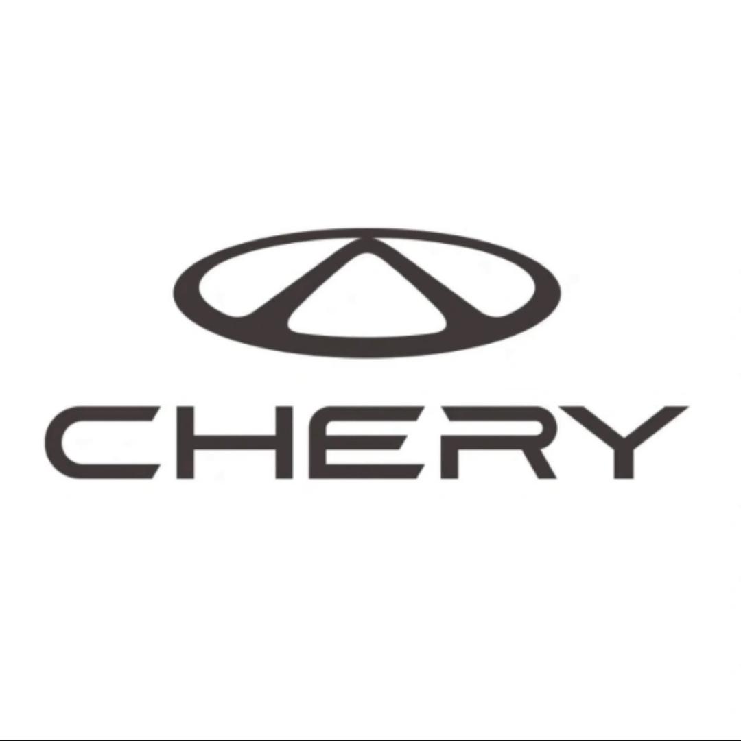 宜宾精瑞奇瑞总监-娟姐