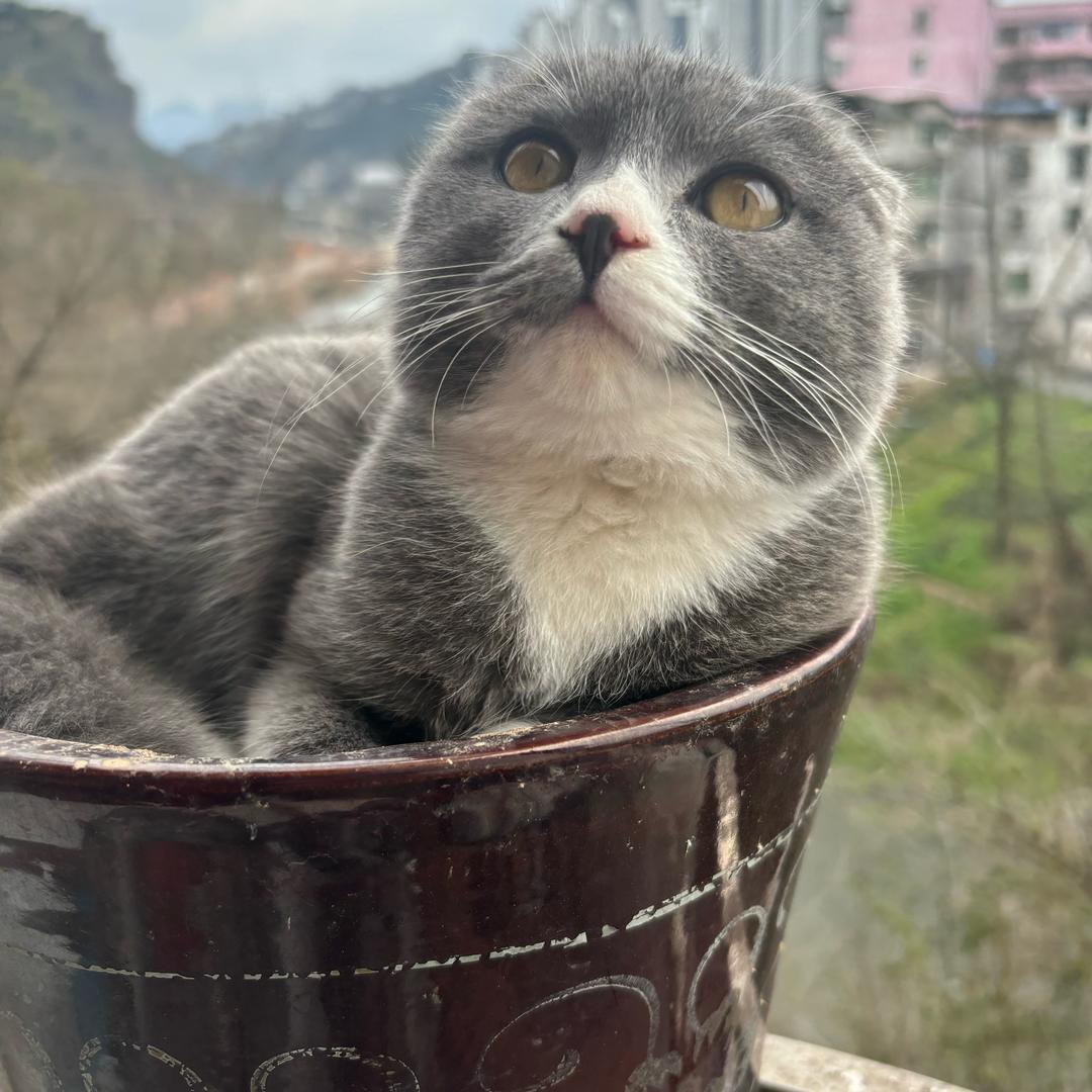 刘怼怼😒😒