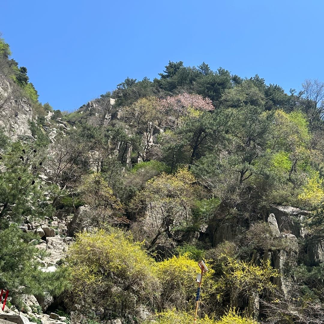 碎碎平安收机局