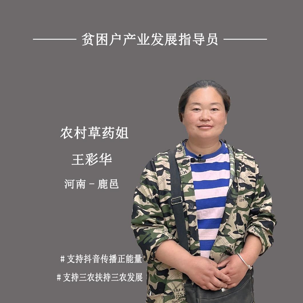 农村草药姐王彩华中草药种植农场