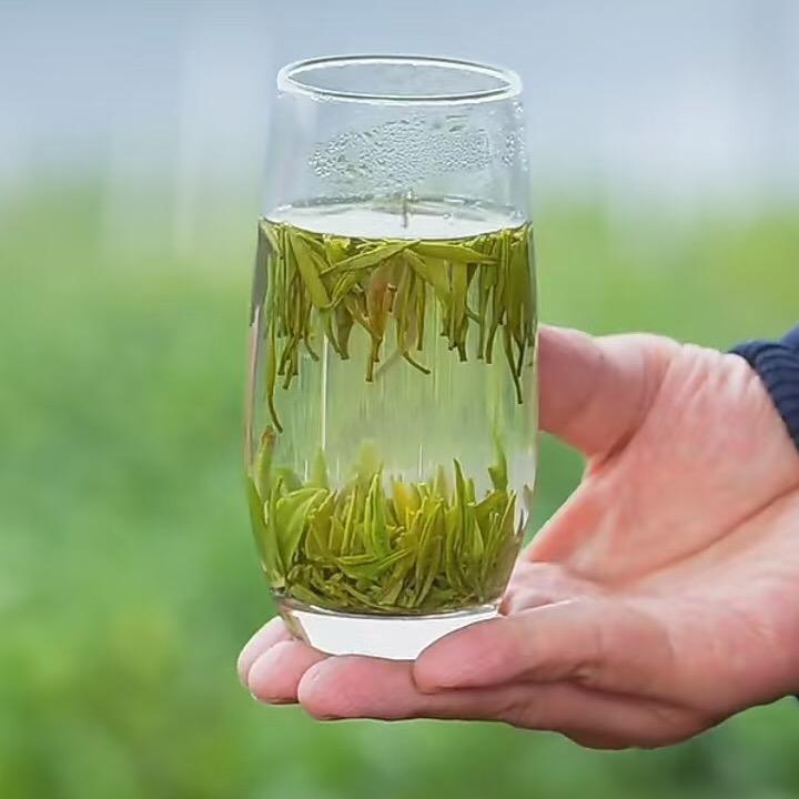 一游
