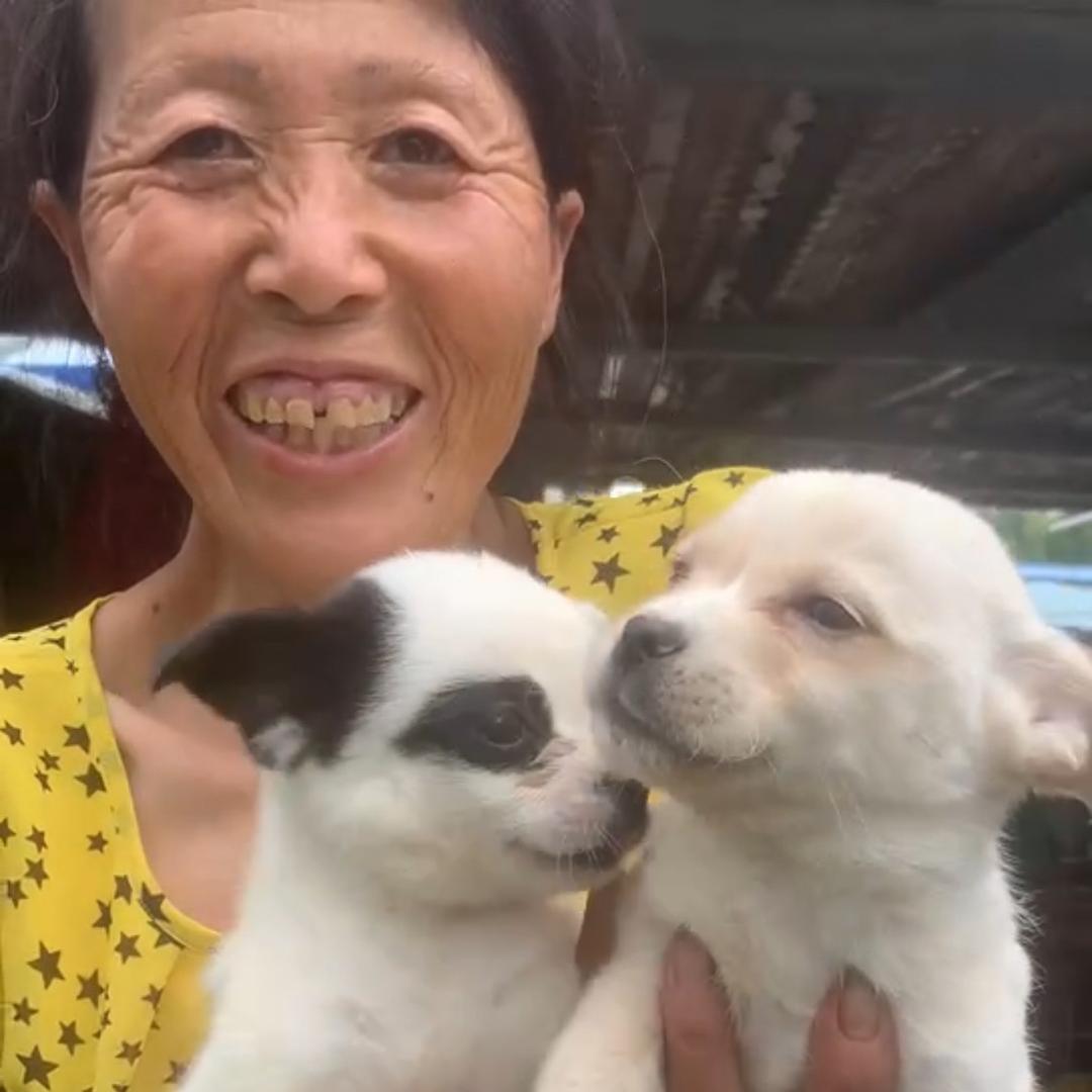 她和它们的故事务中心
