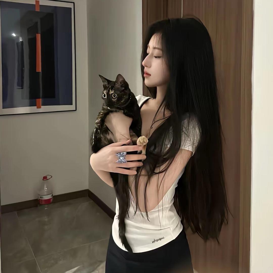小浣熊
