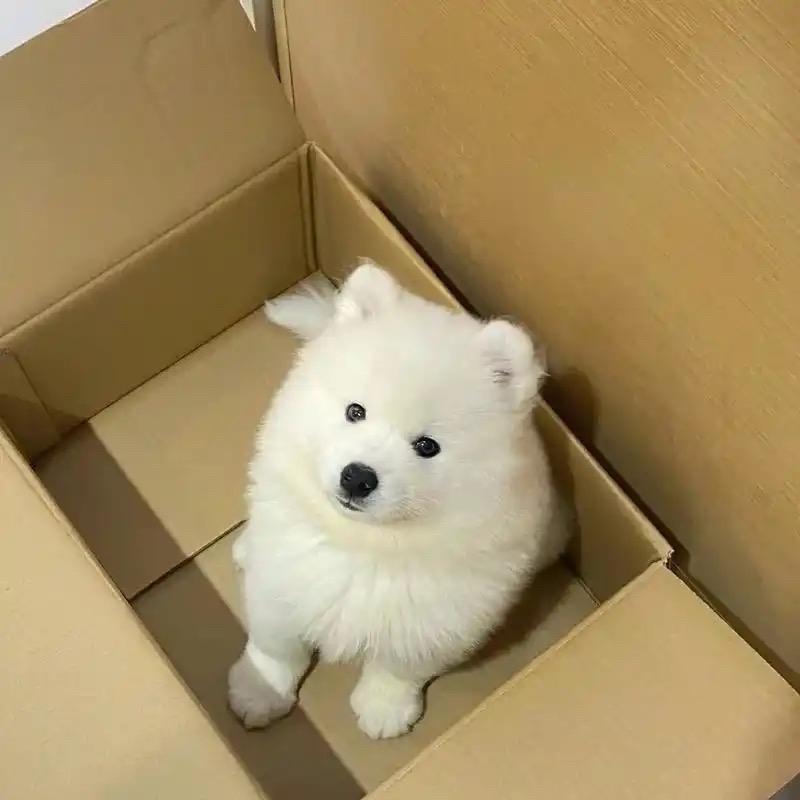 橘子🍊(ꐦÒ‸Ó)你个老六