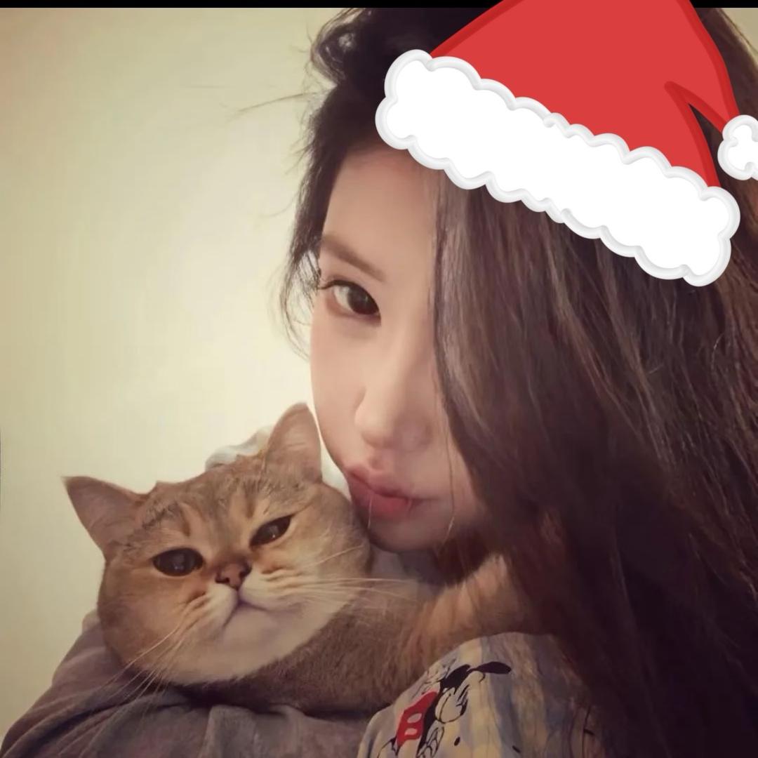 敏感脆弱易碎蛋