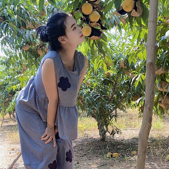 李好开心农产品