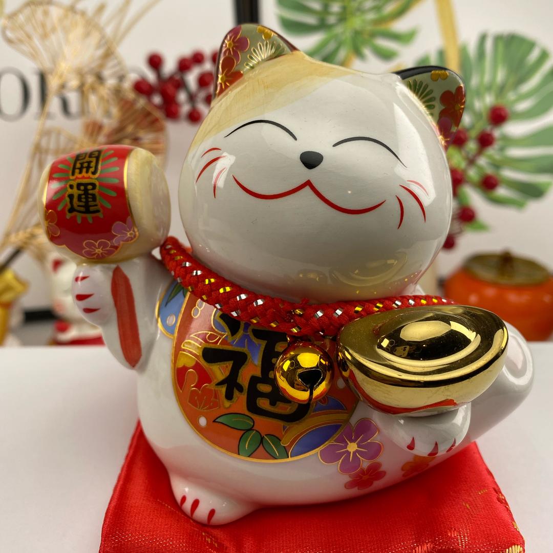 羊羊爱生活