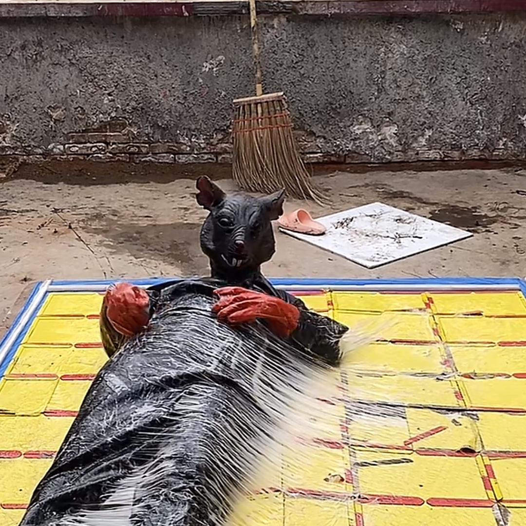 此用户已被注销