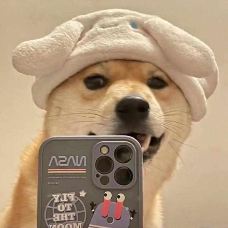 小张也要加油啊　　　　　　　　　 　༽