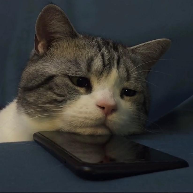 南门菜场不卖菜