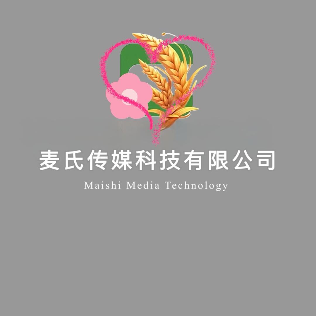 麦氏传媒科技有限公司