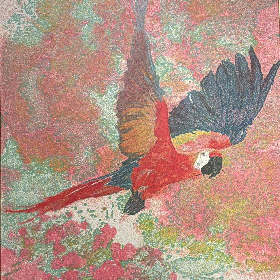 杏林小阁