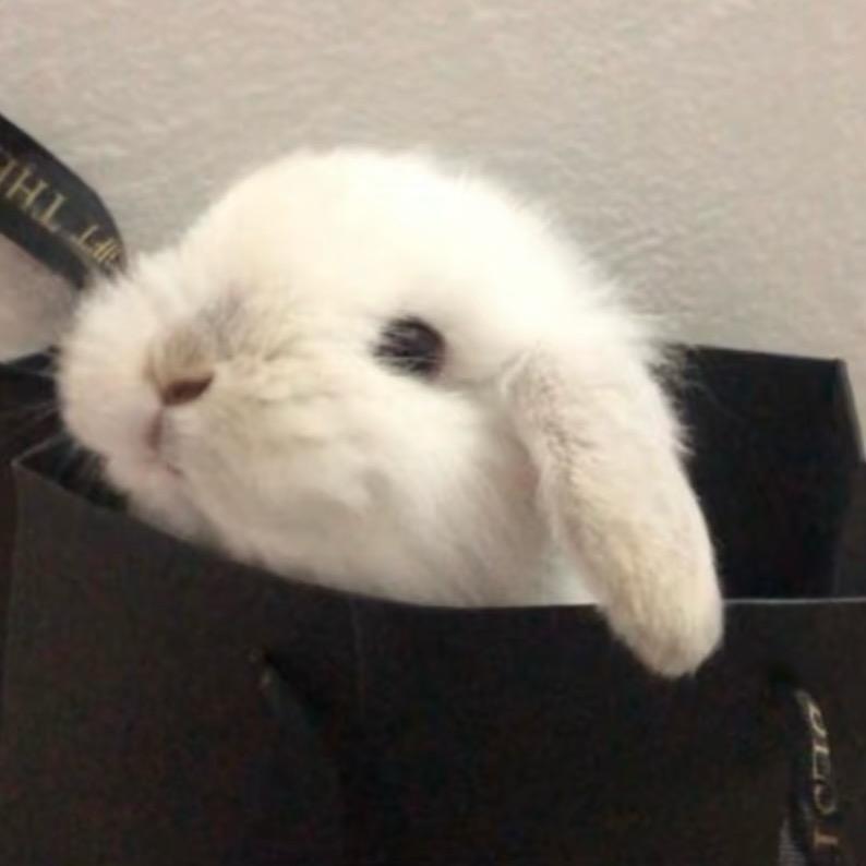 冰淇淋🧊