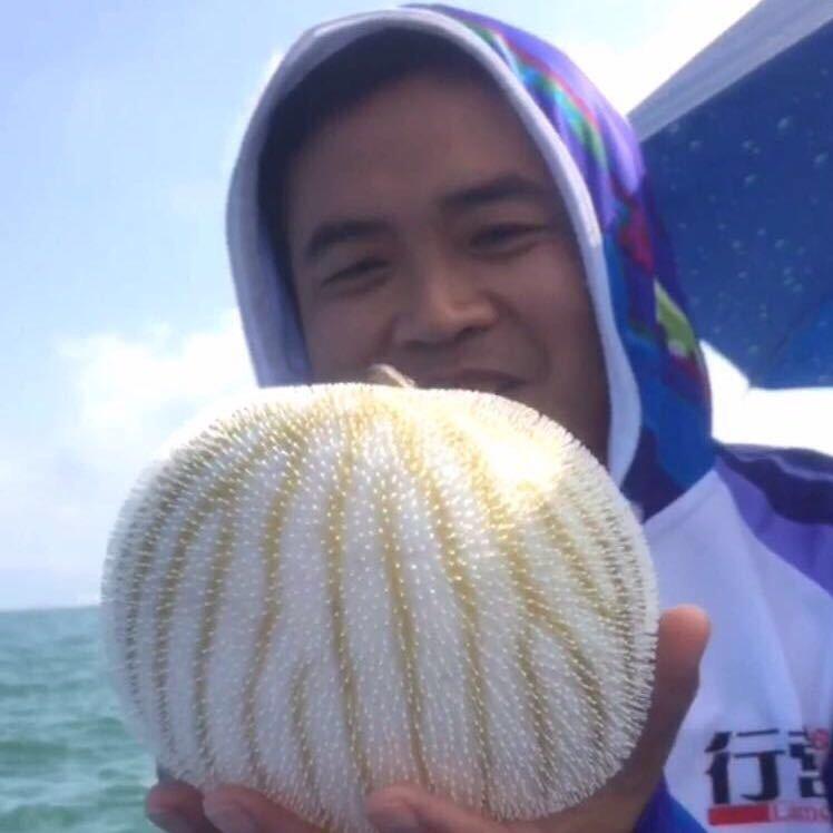 行营之鱼乐人生