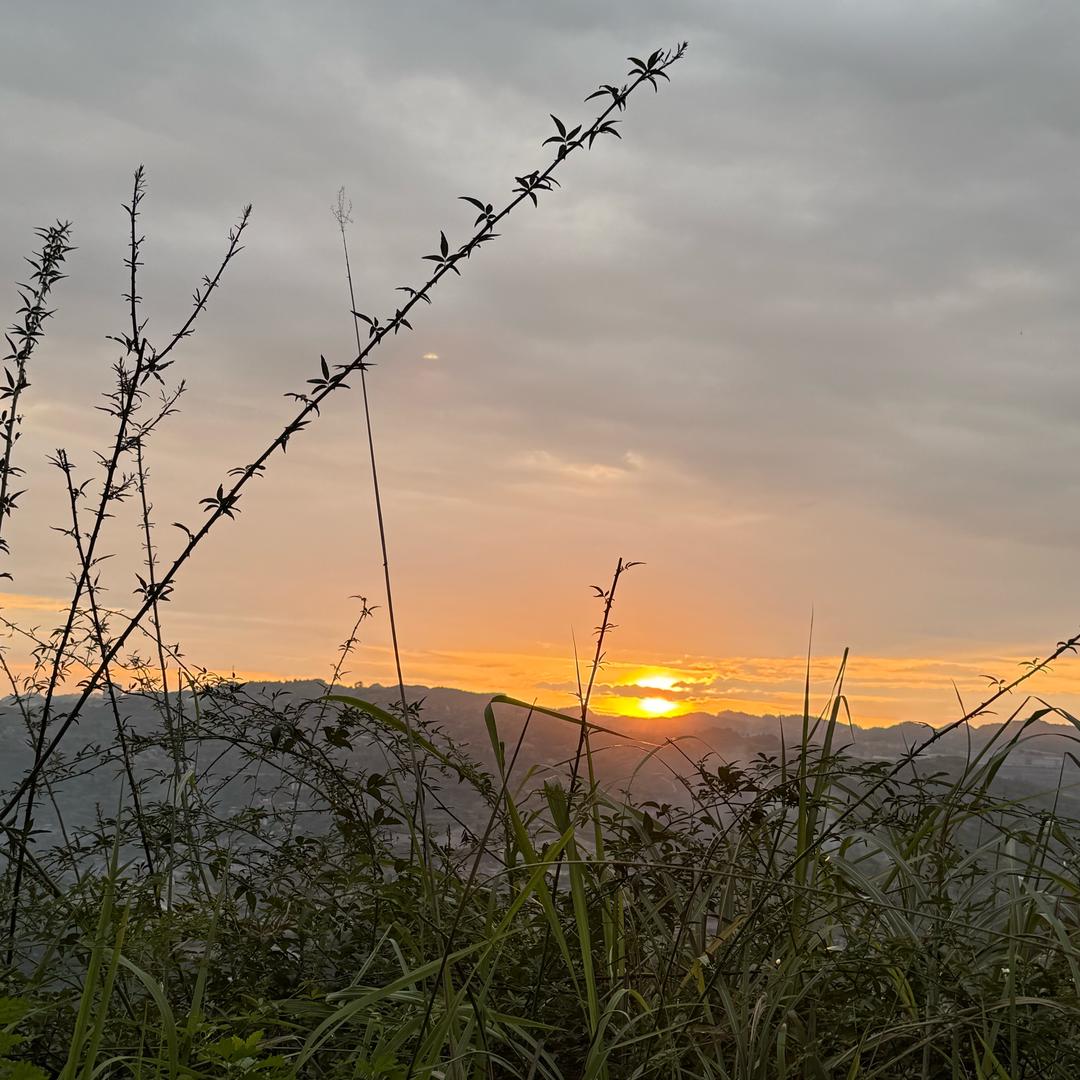 梨涡