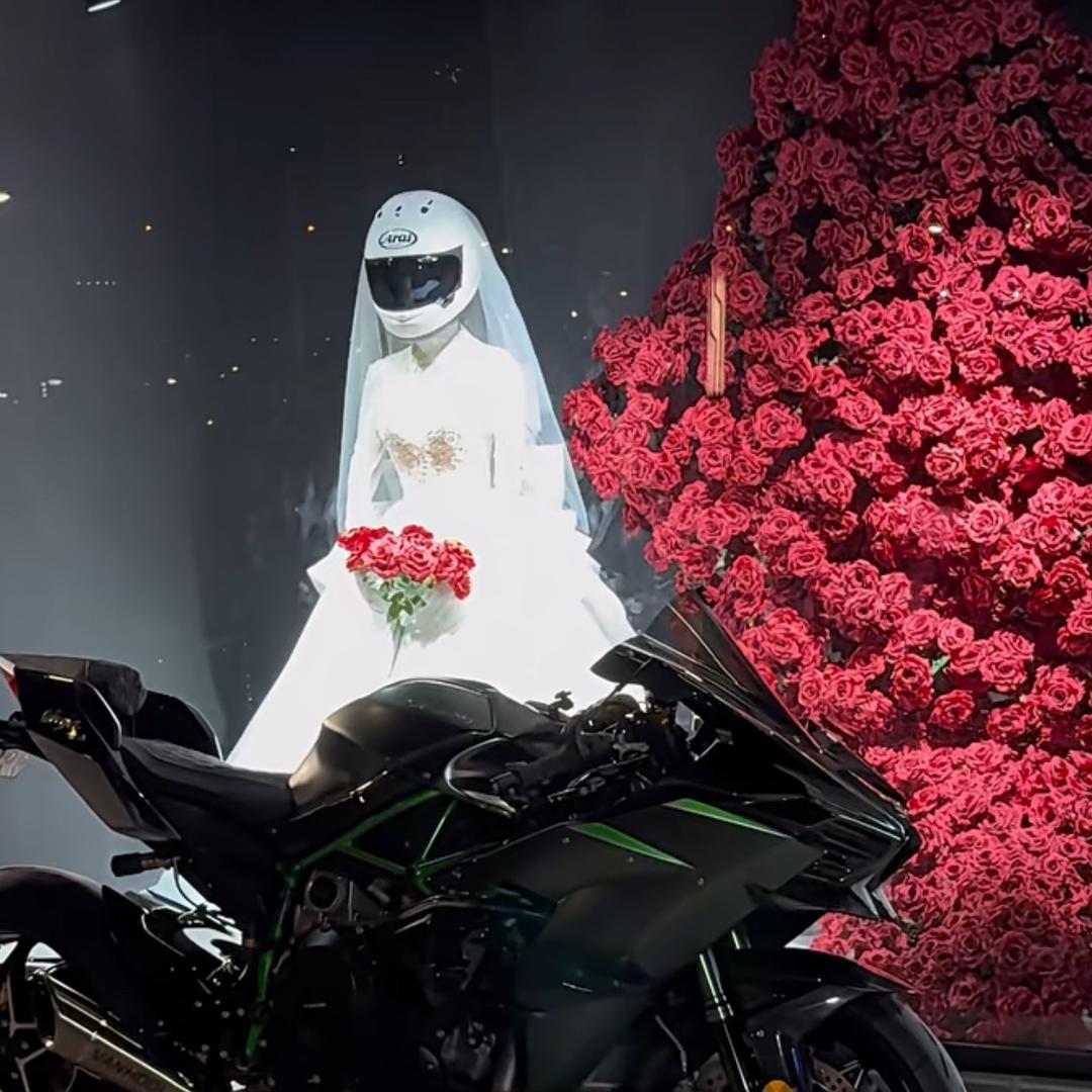 彩虹糖爱向日葵